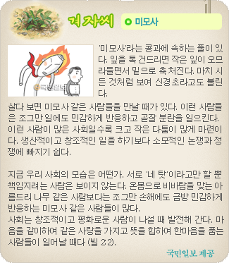 겨자씨 더보기