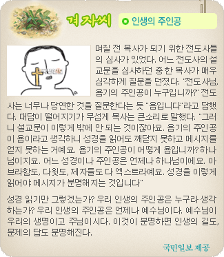 겨자씨 더보기