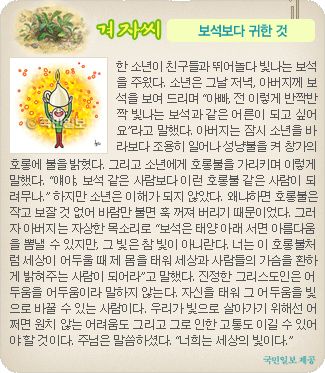 겨자씨 더보기